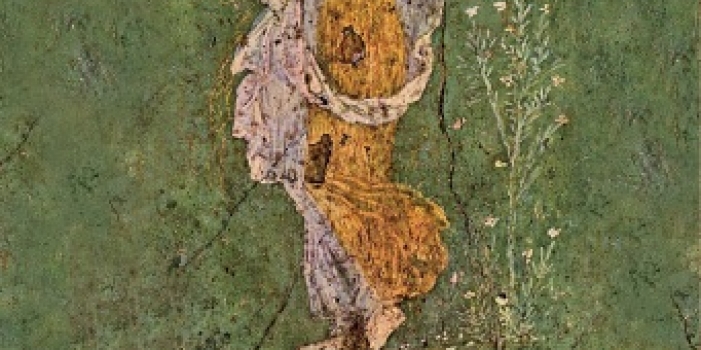 XIII Riunione stabiese di Epatologia